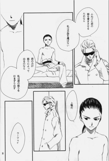 (C50) [ニキータ (梶原にき)] 白色恒星 (ガンダムW)