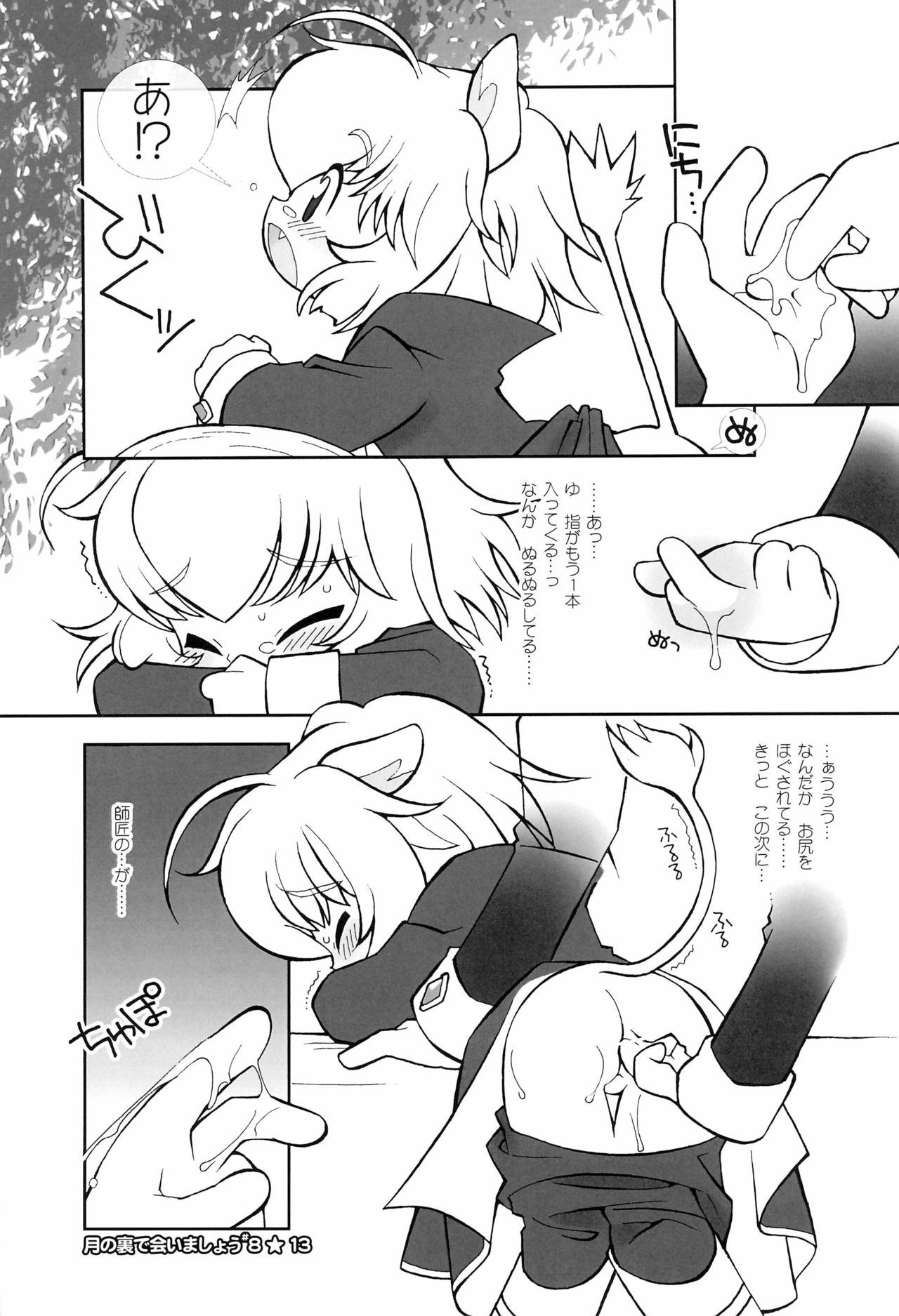 (C70) [定吉堂 (山本岳央)] 月の裏で会いましょう #8 (ふしぎ星の☆ふたご姫)