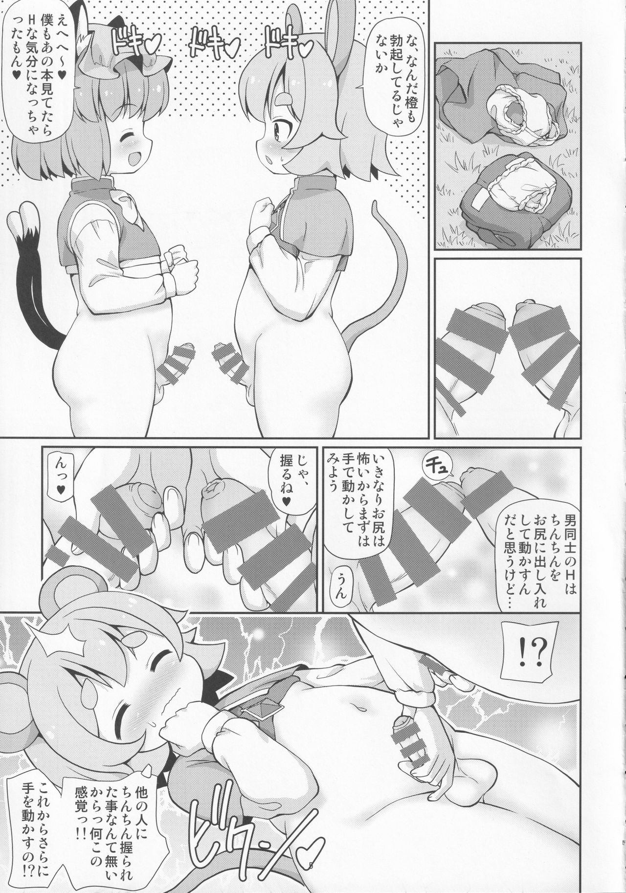 (例大祭18) [魔導資料室 (嵐-D-悪鬼羅、佐々木てろん、emina)] 鼠と遊ぶ猫 (東方Project)