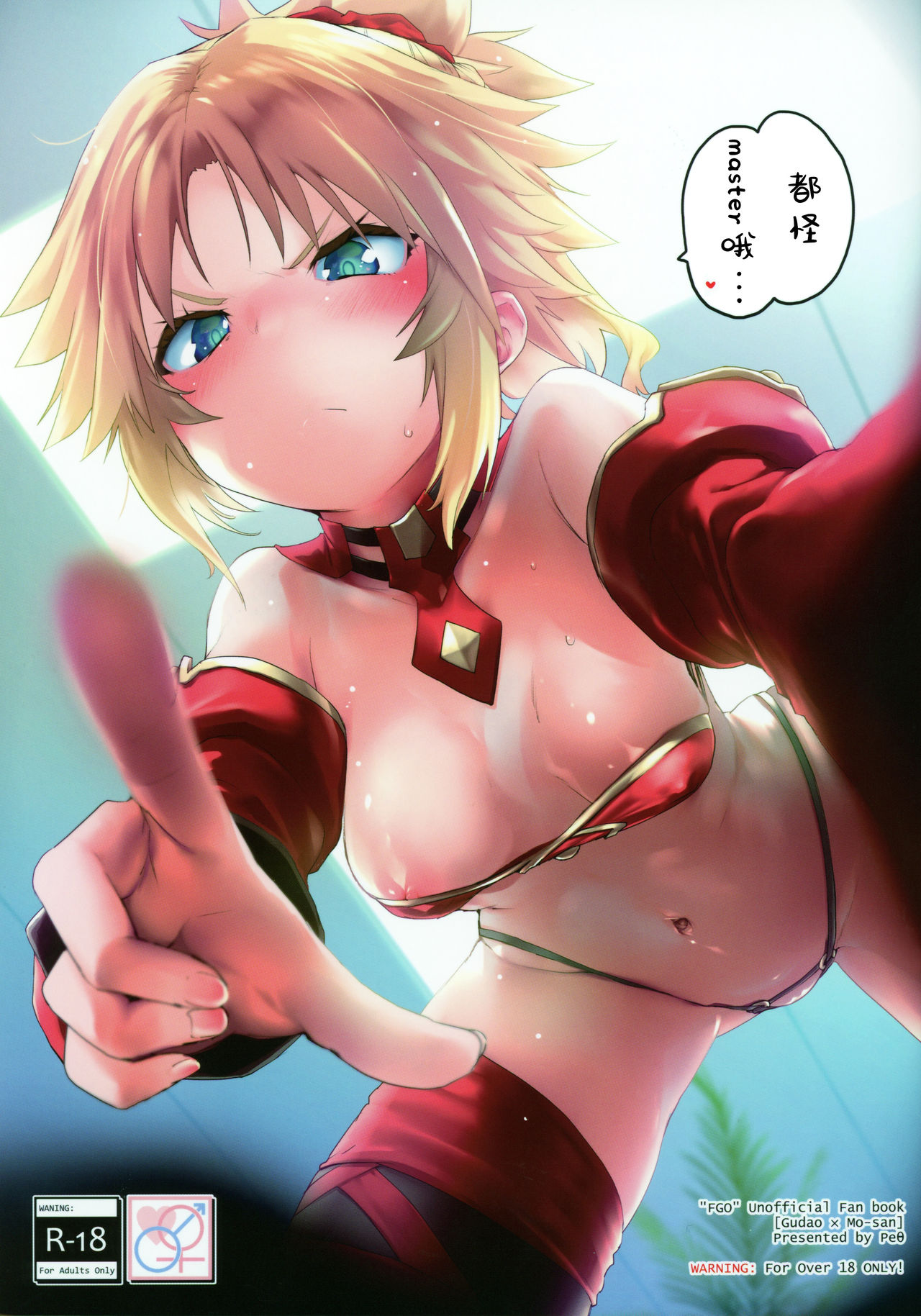 (C97) [Peθ (もず)] マスターのせいだぞ… (Fate/Grand Order) [中国翻訳]