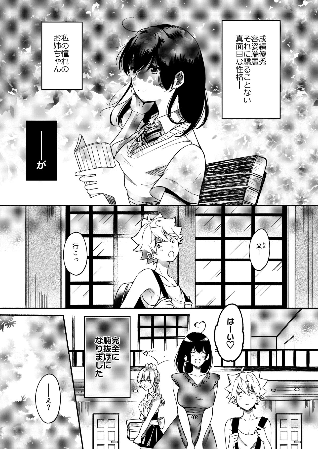 [散る国 (小中えみ)] お姉ちゃんと僕の開発性活 総集編 [DL版]