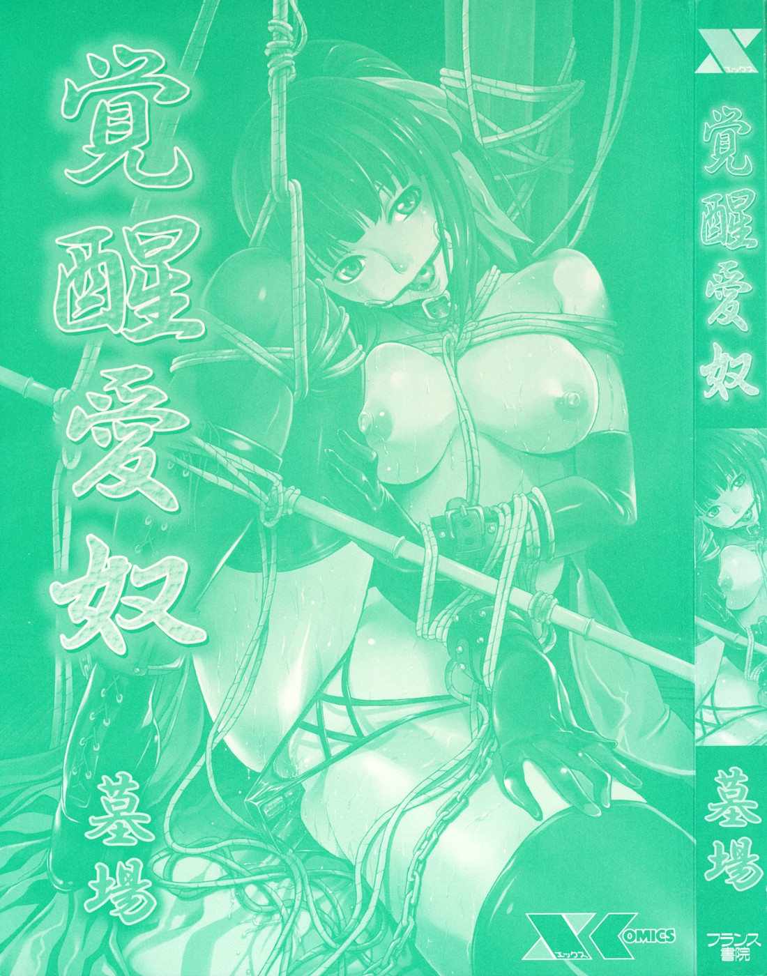 [墓場] 覚醒愛奴 [中国翻訳]