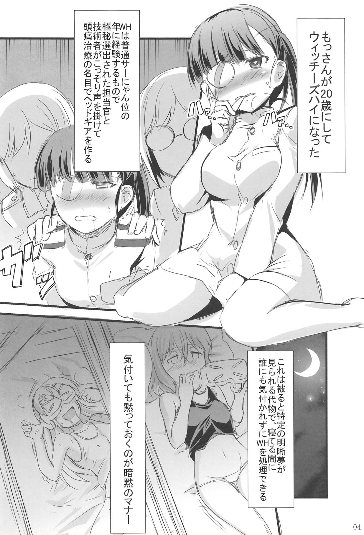 (C95) [STEED ENTERPRISE (STEED)] ウィッチーズハイ抑制計画 (ストライクウィッチーズ)