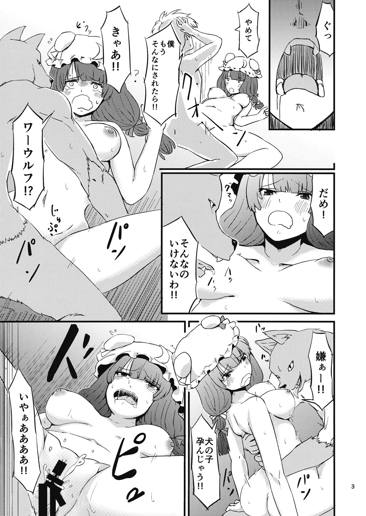 (紅楼夢13) [幻想影燈籠 (amidara)] 残念パチュリーのうっかり召喚術2 (東方Project)