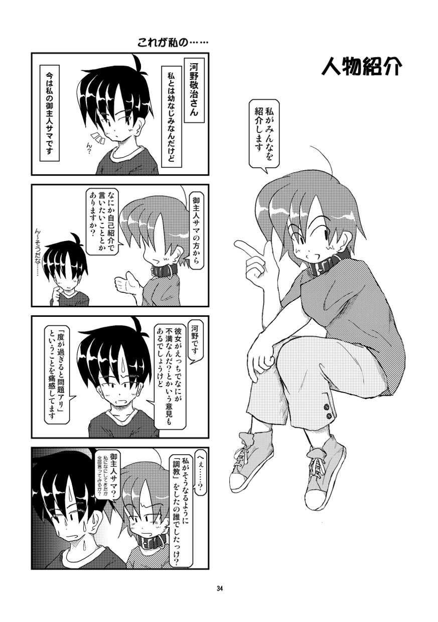 (同人誌) [無名芸] 首輪日記 総集編