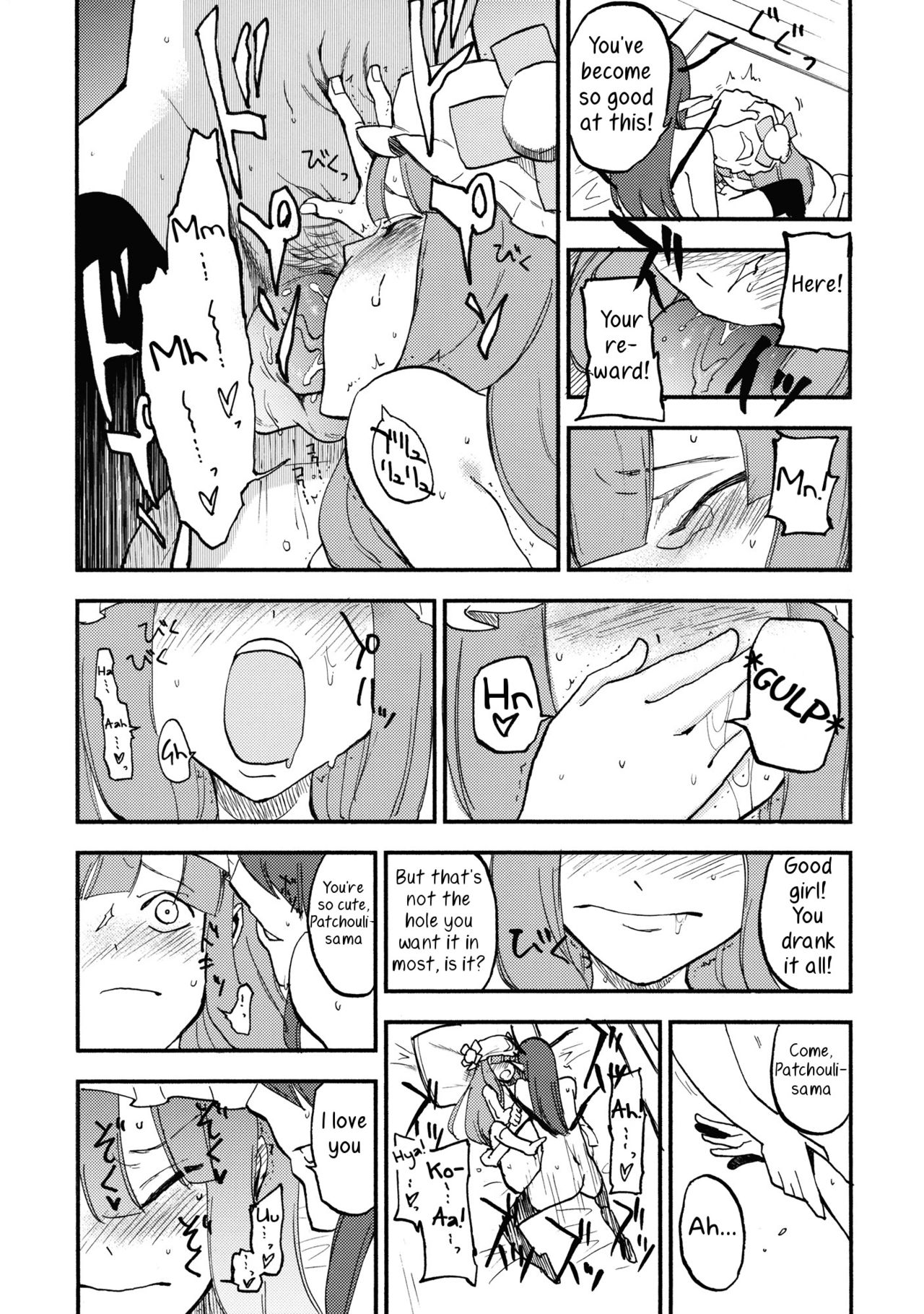 (C80) [白ネギ屋 (miya9)] ワイセツ図書館 (東方Project) [英訳]