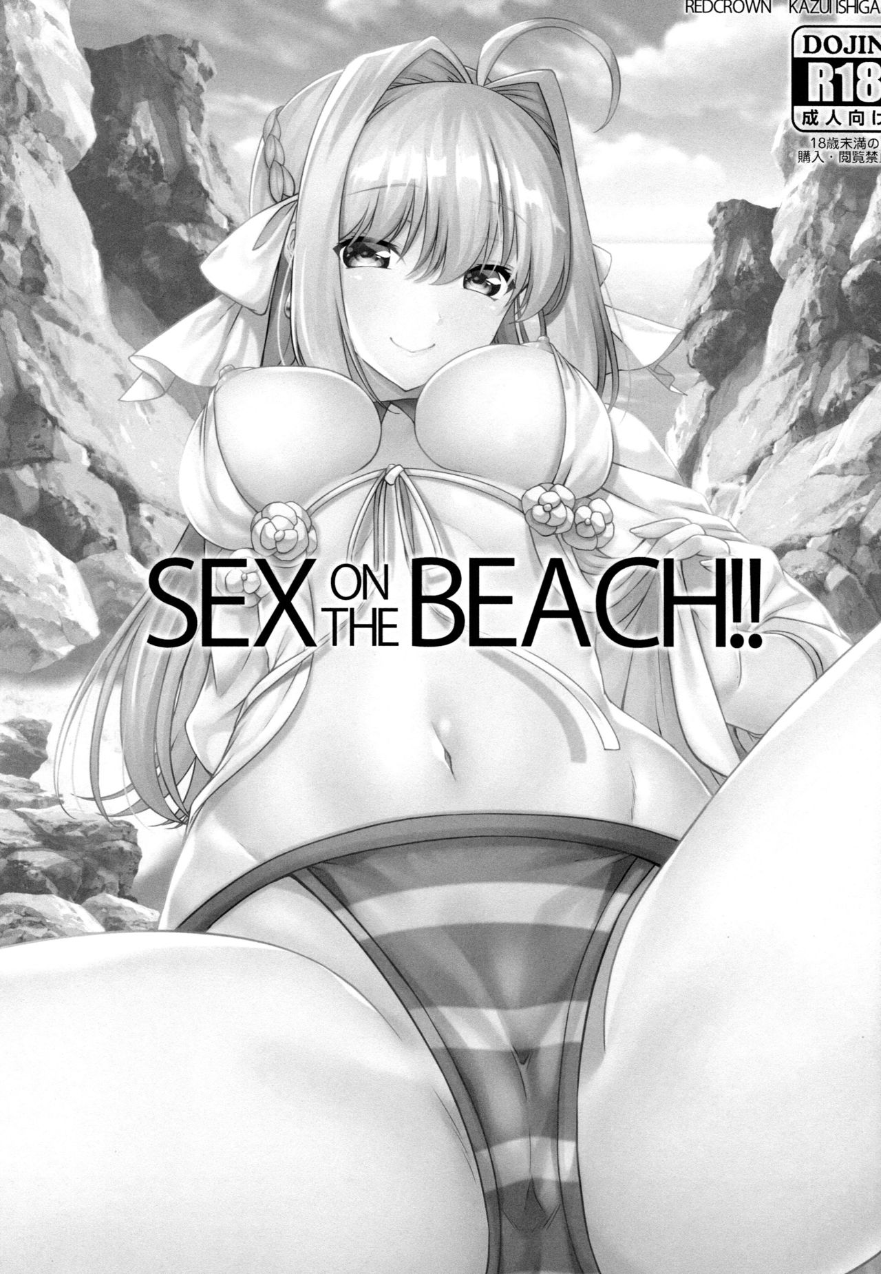 (C96) [RED CROWN (石神一威)] SEX ON THE BEACH!! (Fate/Grand Order) [中国翻訳]