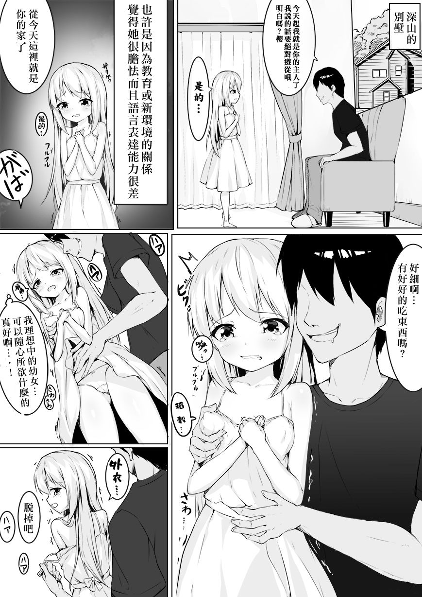 [ストレートレモン果汁100 (すとれも)] 犯すために小さな少女を落札してみた [中国翻訳]