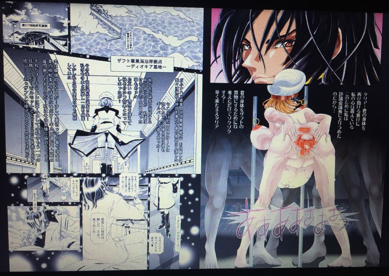 [かき＠ぼう (柿ノ本歌麿)] RANDOM NUDE 6.55[T●lia Gl●dys] (機動戦士ガンダムSEED DESTINY)