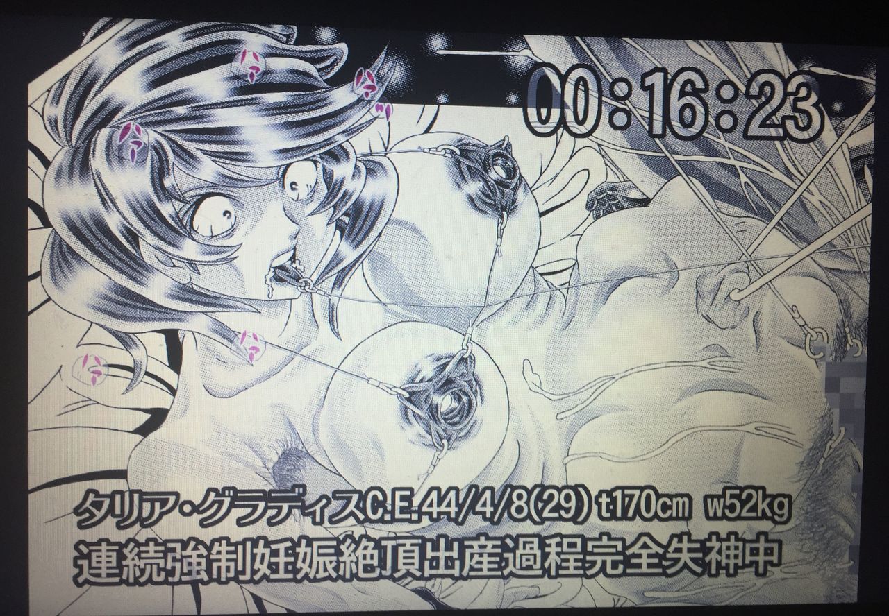 [かき＠ぼう (柿ノ本歌麿)] RANDOM NUDE 6.55[T●lia Gl●dys] (機動戦士ガンダムSEED DESTINY)