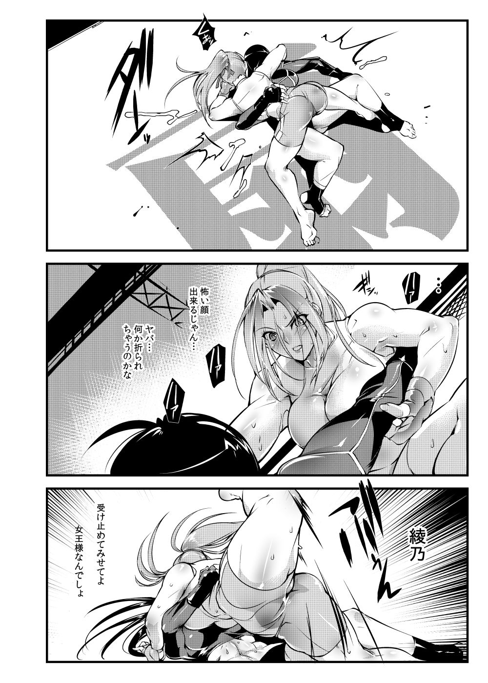 (コミティア125) [TLG (bowalia)] 地下闘技場 扇6