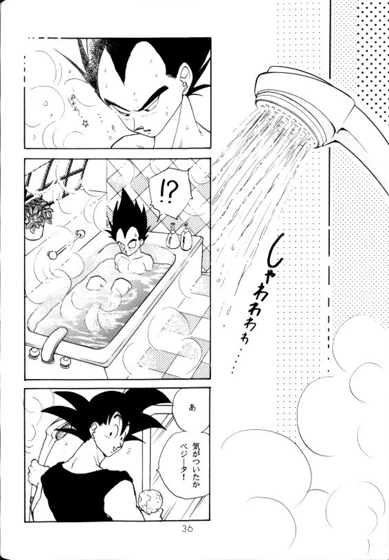 (C42) [PAOZ (炎天下くらら)] 愛さずにいられない (ドラゴンボールZ)