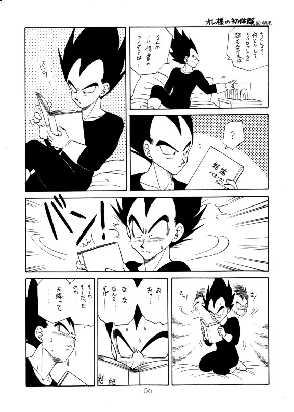 (C42) [PAOZ (炎天下くらら)] 愛さずにいられない (ドラゴンボールZ)