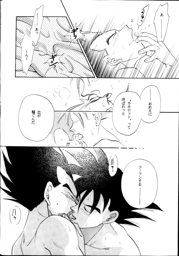 (C42) [PAOZ (炎天下くらら)] 愛さずにいられない (ドラゴンボールZ)