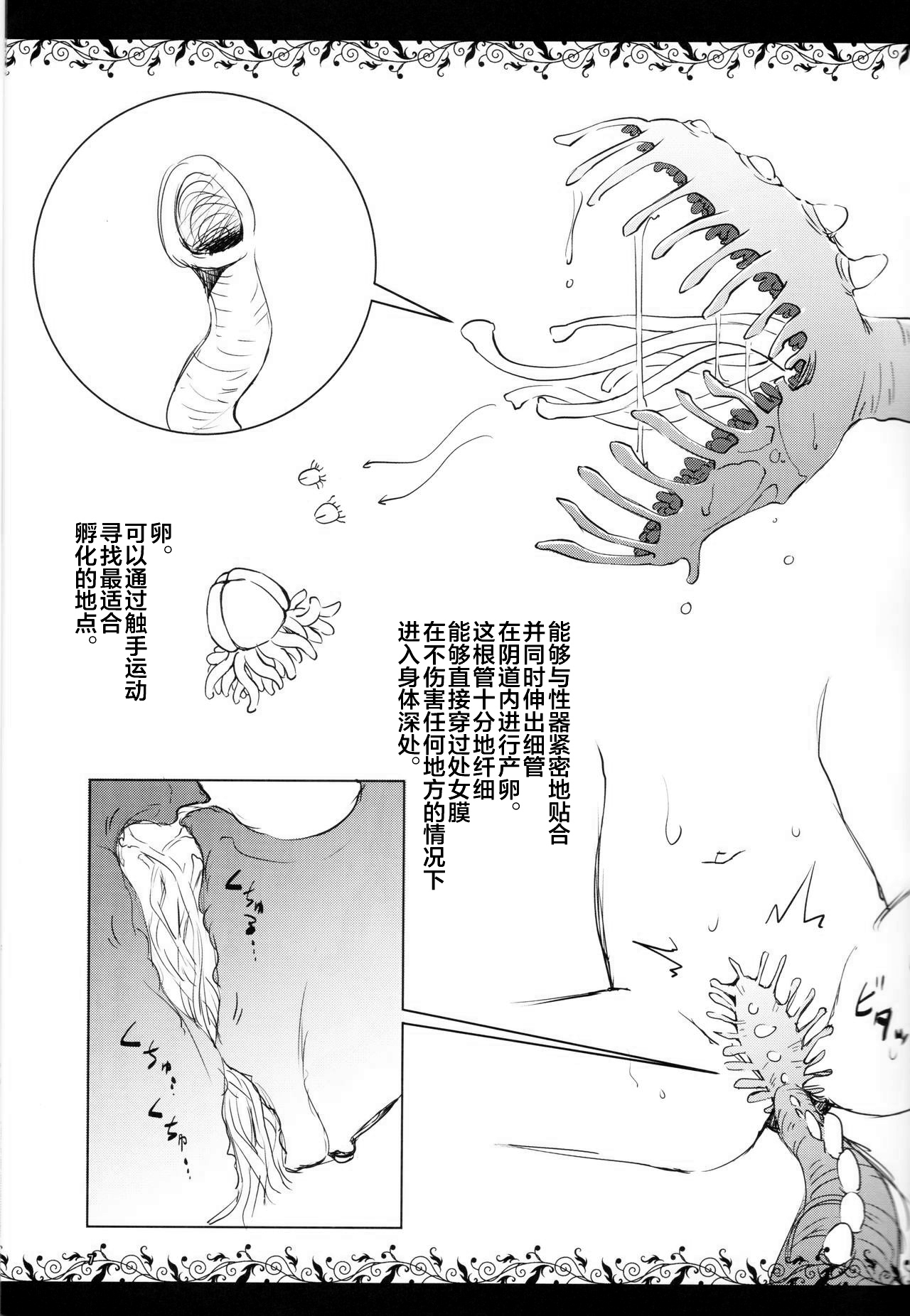 (コミティア124) [カメムシ (神鳴る冬)] 触手図鑑 [中国翻訳]