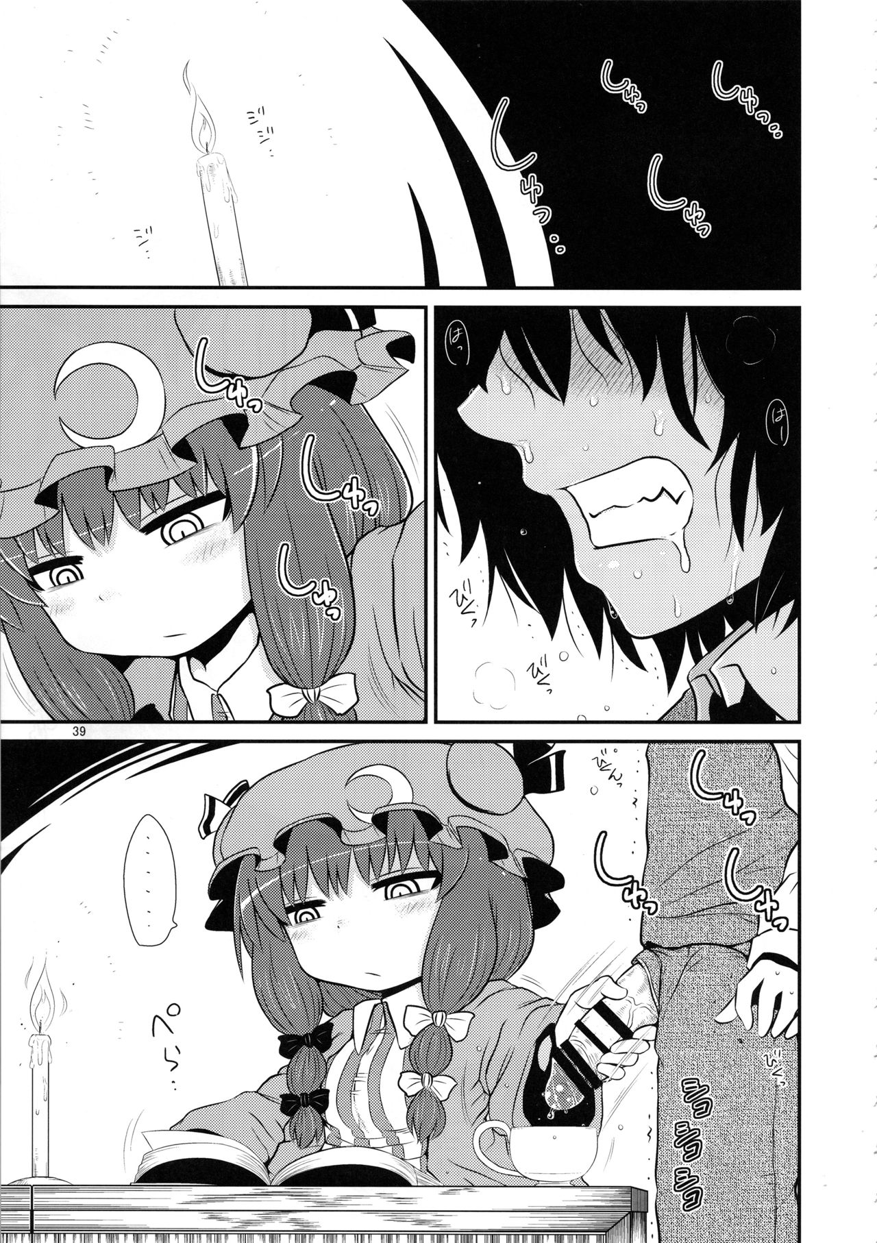(C96) [川豚毒 (加藤フグオ)] するだけ。総集編 貳 (東方Project)