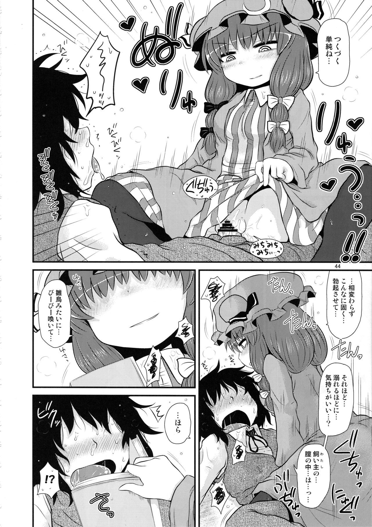 (C96) [川豚毒 (加藤フグオ)] するだけ。総集編 貳 (東方Project)