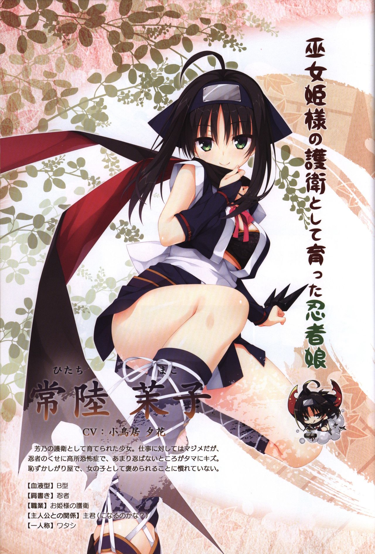 YUZUSOFT 10th Anniversary Book ゆずあに