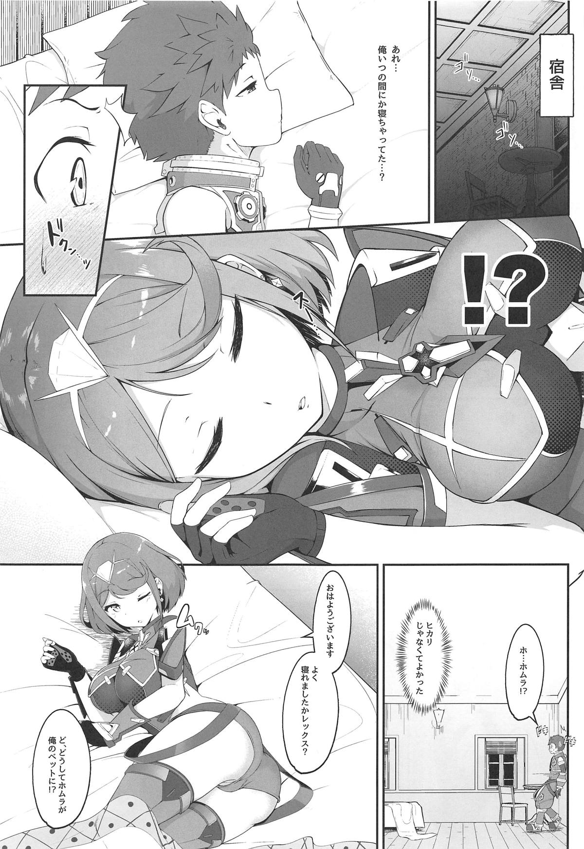 (COMIC1☆15) [じゃじゅじょ (じょぶじゅん。)] 夢ノ濡色 (ゼノブレイド2)