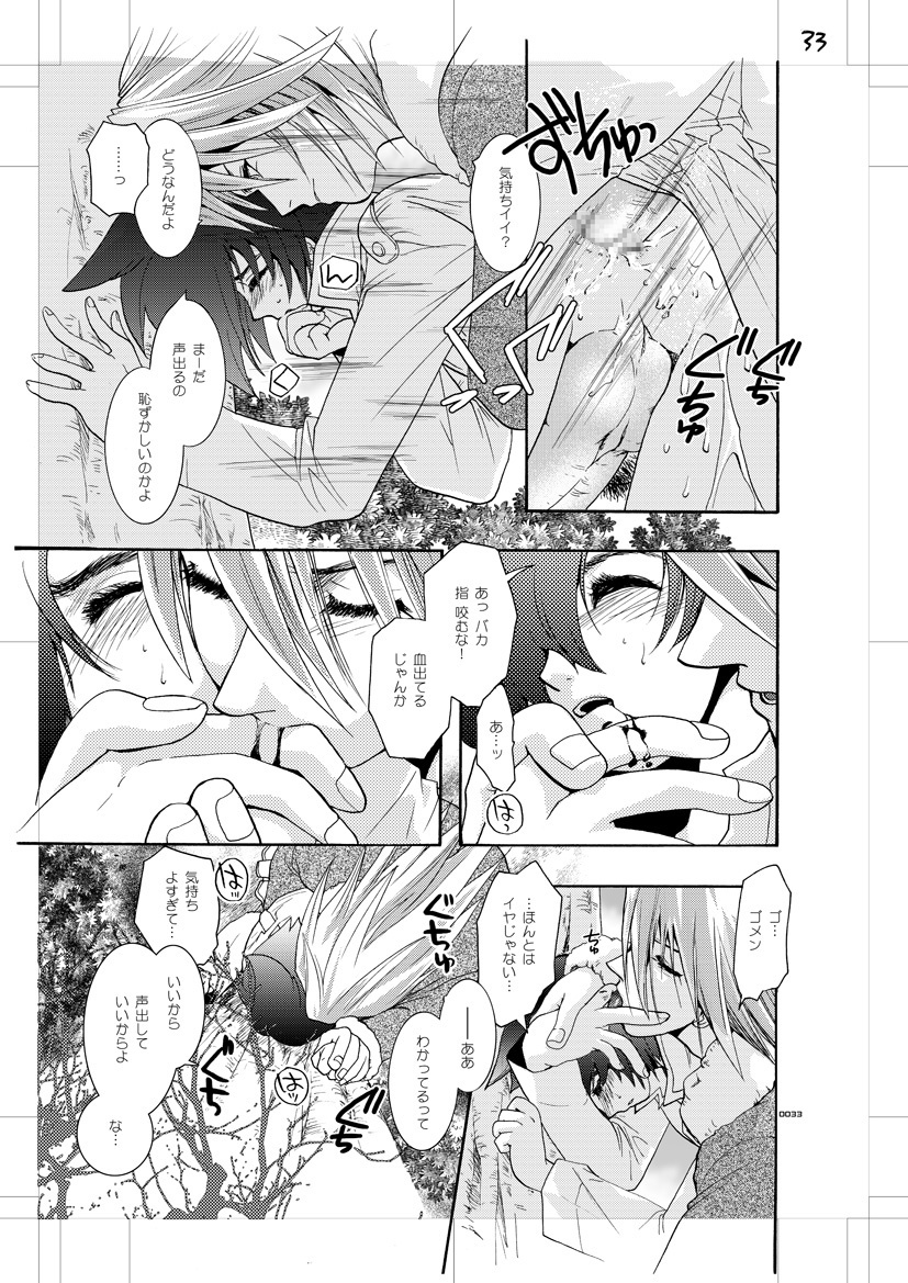 青年同盟MODE。肉欲