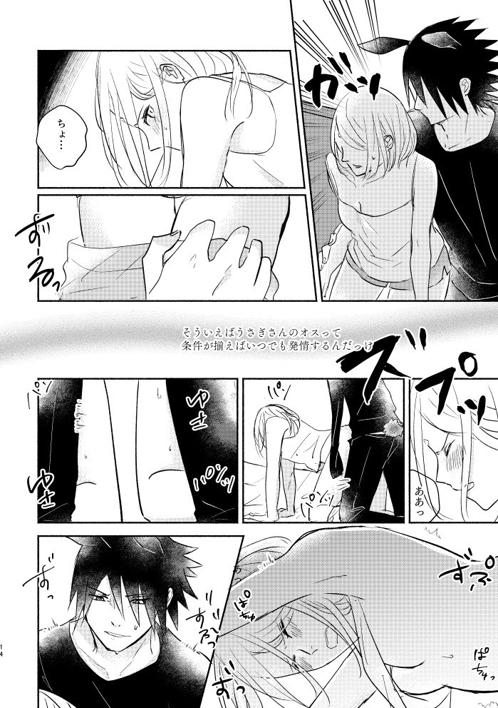 うさぎさんのサスケくんとかいぬしのさくらちゃん