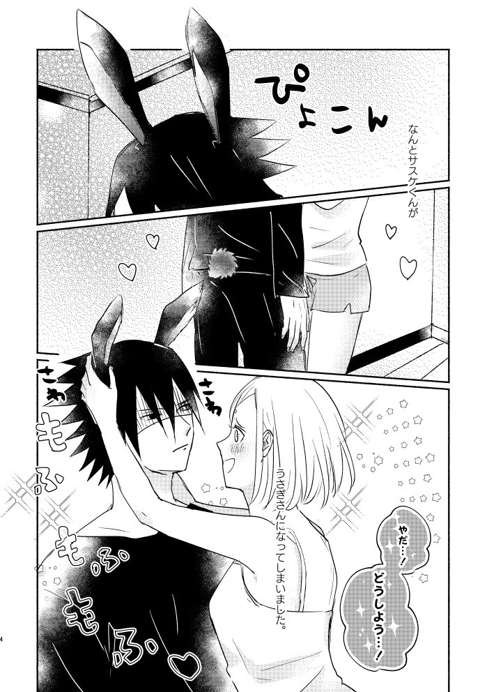 うさぎさんのサスケくんとかいぬしのさくらちゃん