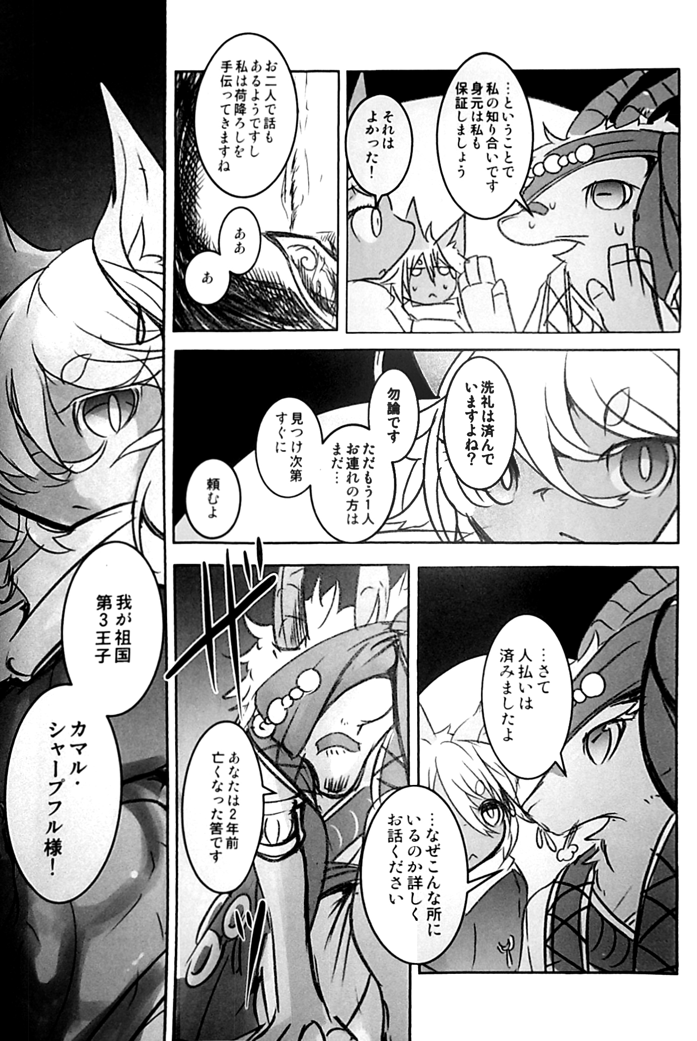 アラビアの騎士