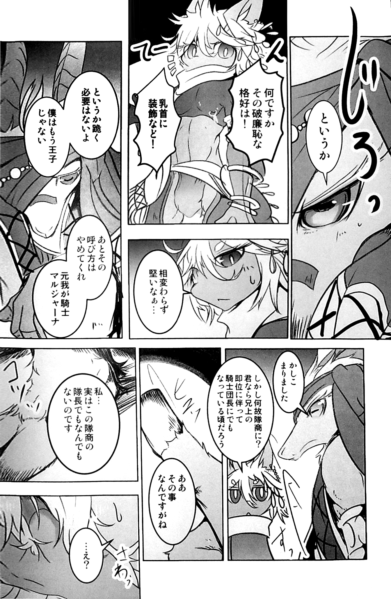 アラビアの騎士