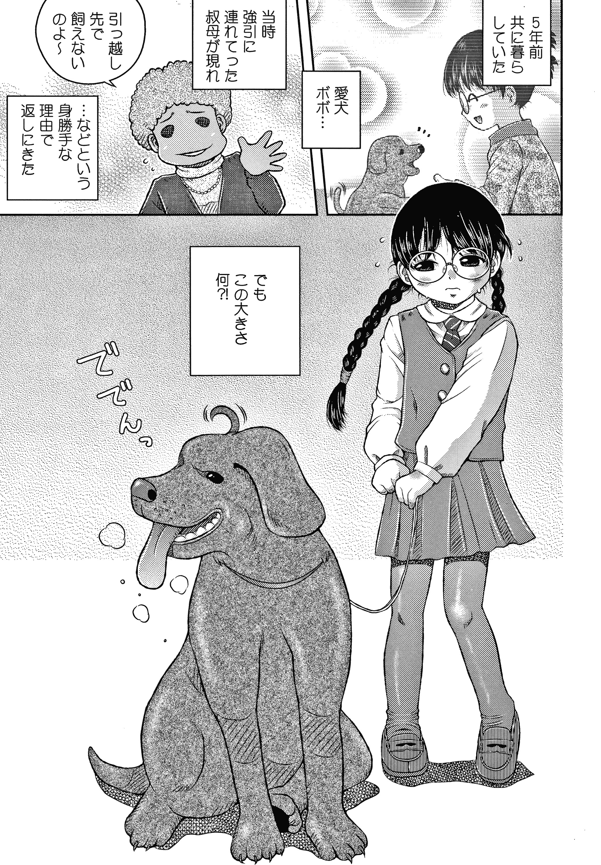 美少女コウシュウニクベンキ