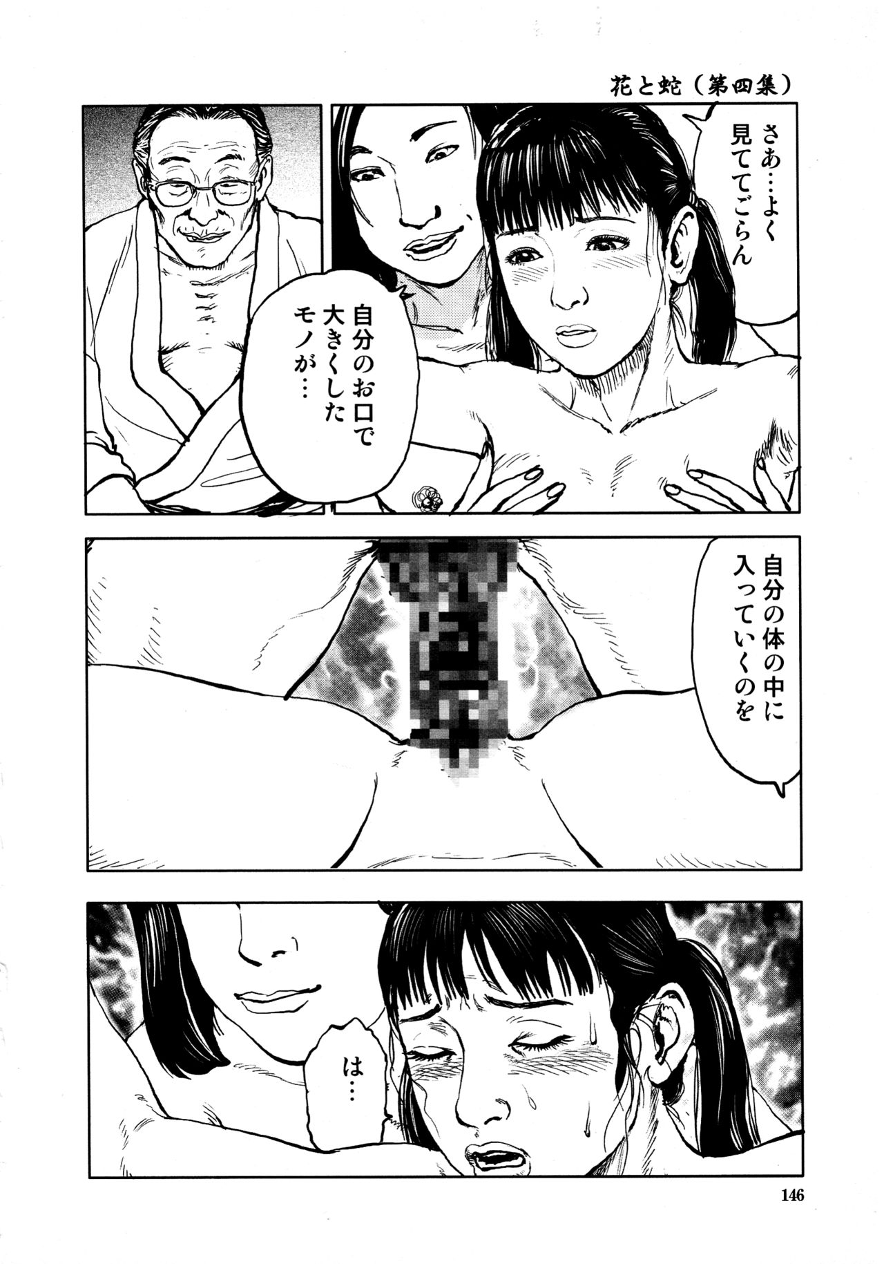 [長田要, 団鬼六] 花と蛇 第四集