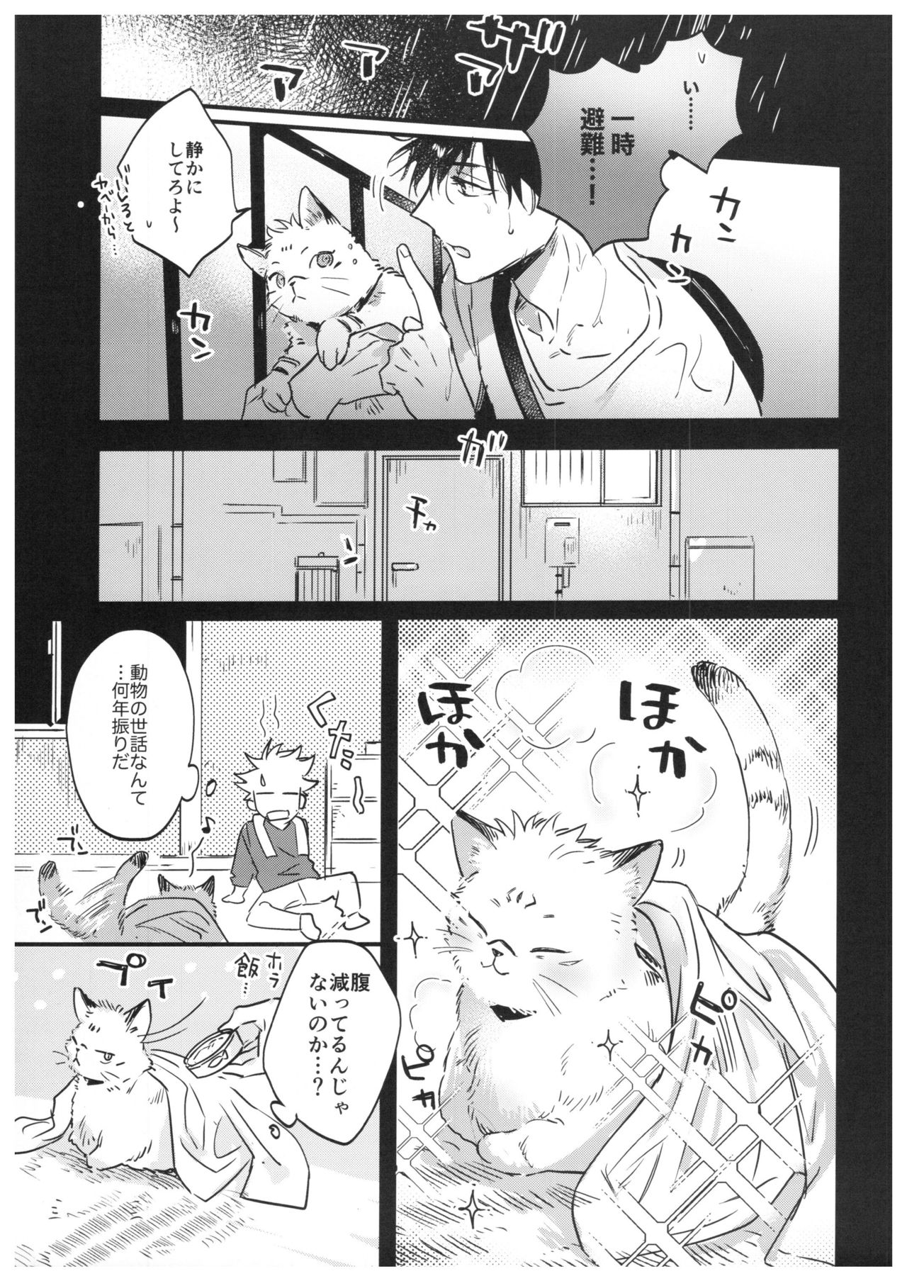 (妖言緊急SUMMER2021) [CANARY (bi)] FUSHI TO NEKO (呪術廻戦)