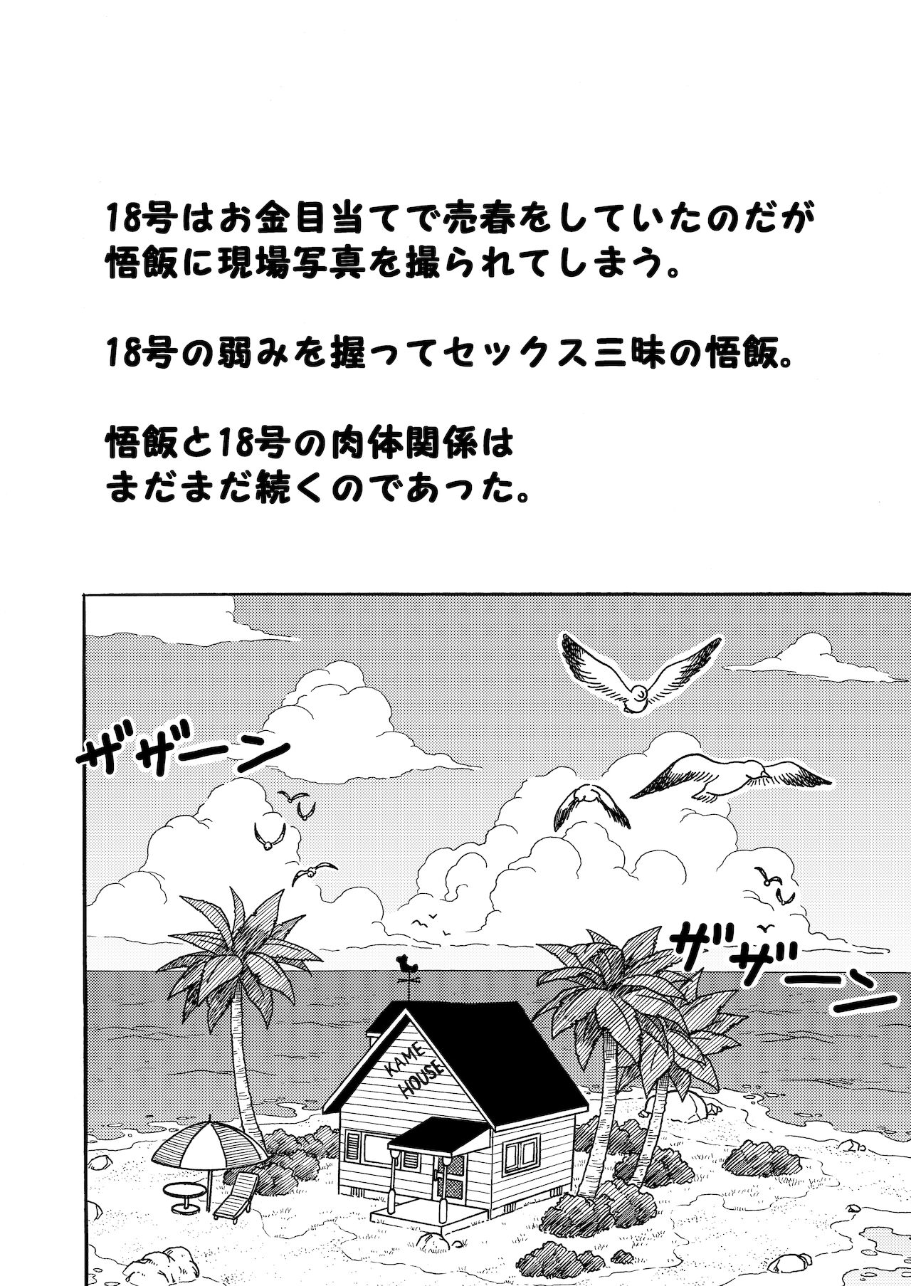 [ジーター] 18号ＮＴＲ 中出しオンパレード 2