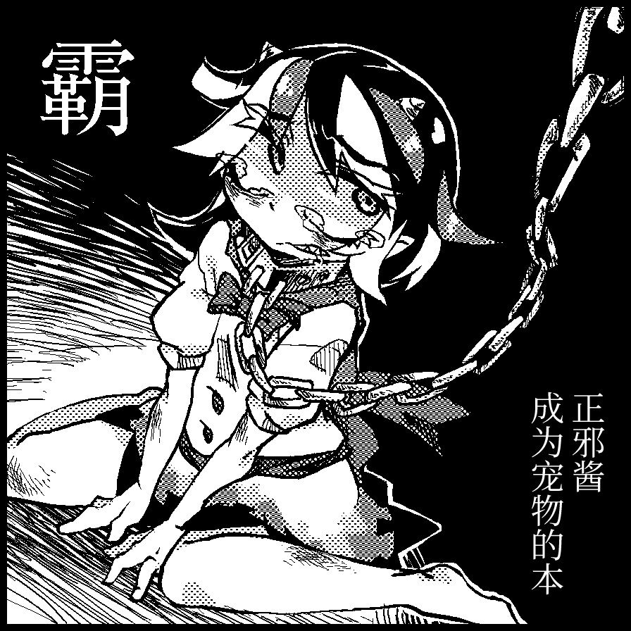 [霸 (ami2)] 地下室の愛玩動物 (東方Project) [中国翻訳] [DL版]