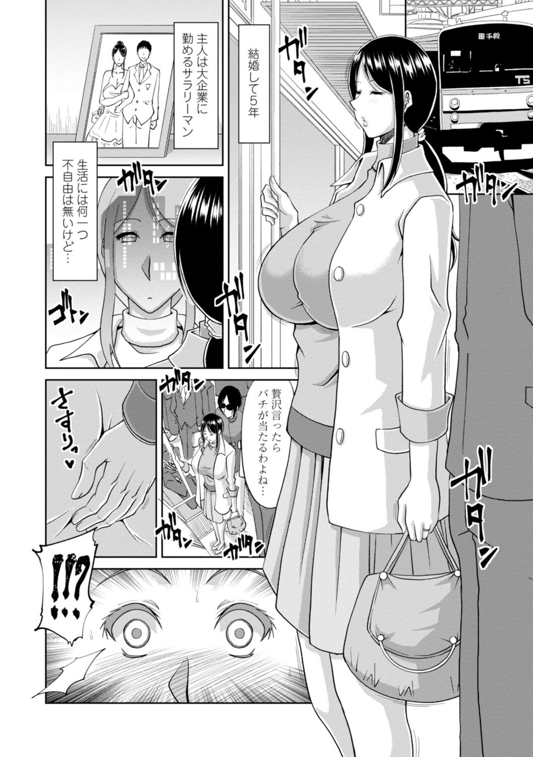 [甲斐ひろゆき] 堕（お）とされ疼き妻【電子版特典付き】