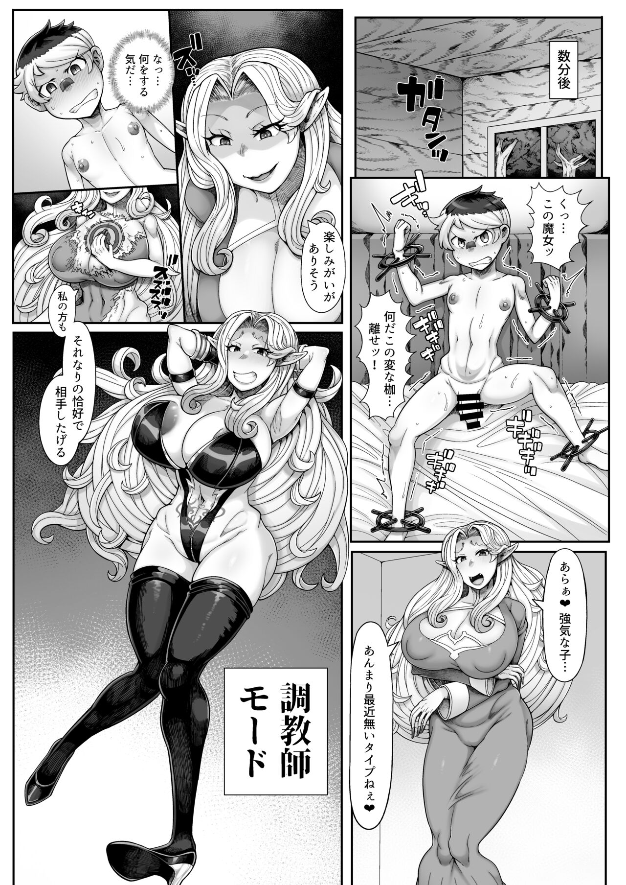 [トリノス] エルフ・オフィーリアの搾精記録 [DL版]